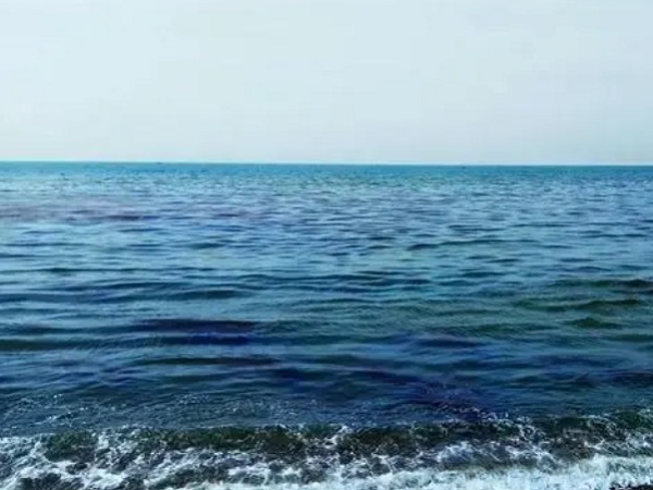 日本核廢水將排海-影響何以估量？